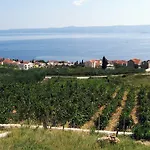 Holiday Vineyard House