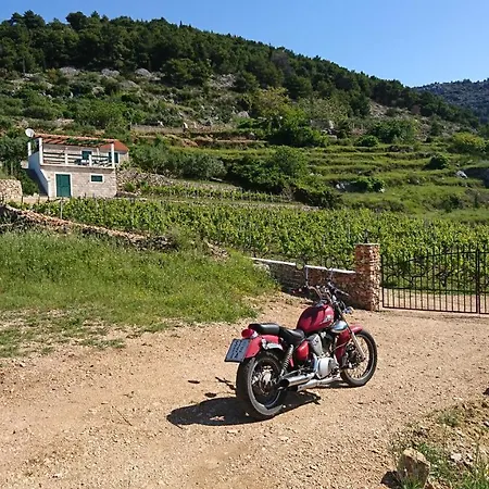 Holiday Vineyard House *