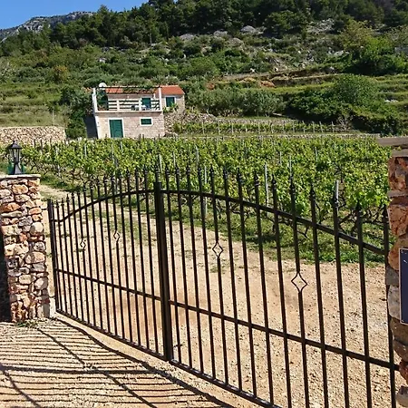Vikendica Holiday Vineyard House Bol