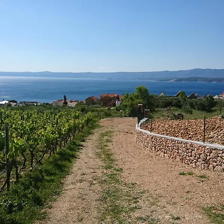 Holiday Vineyard House